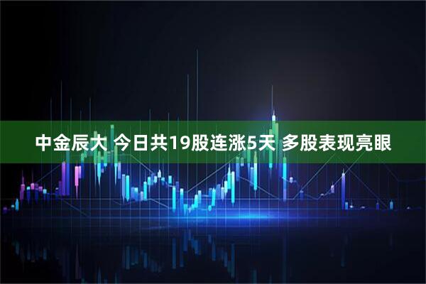 中金辰大 今日共19股连涨5天 多股表现亮眼