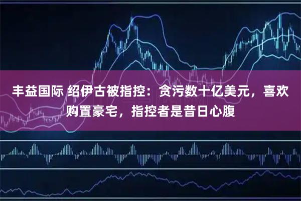 丰益国际 绍伊古被指控：贪污数十亿美元，喜欢购置豪宅，指控者是昔日心腹