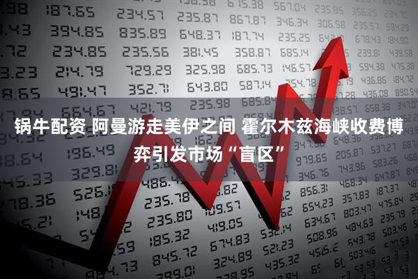 锅牛配资 阿曼游走美伊之间 霍尔木兹海峡收费博弈引发市场“盲区”