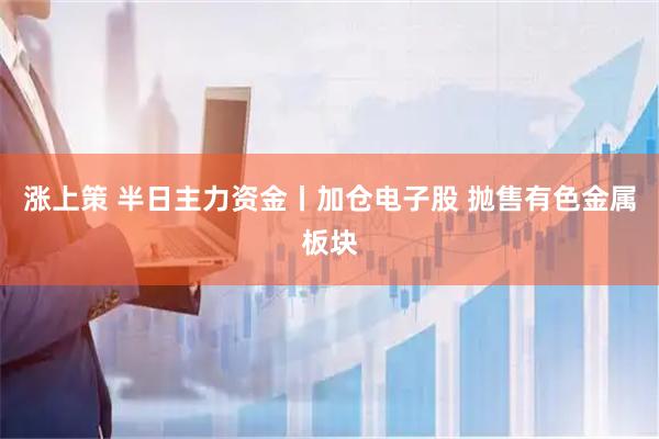 涨上策 半日主力资金丨加仓电子股 抛售有色金属板块