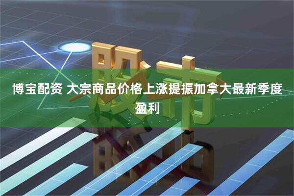 博宝配资 大宗商品价格上涨提振加拿大最新季度盈利
